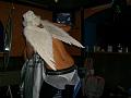 wellness night shows_0000022
